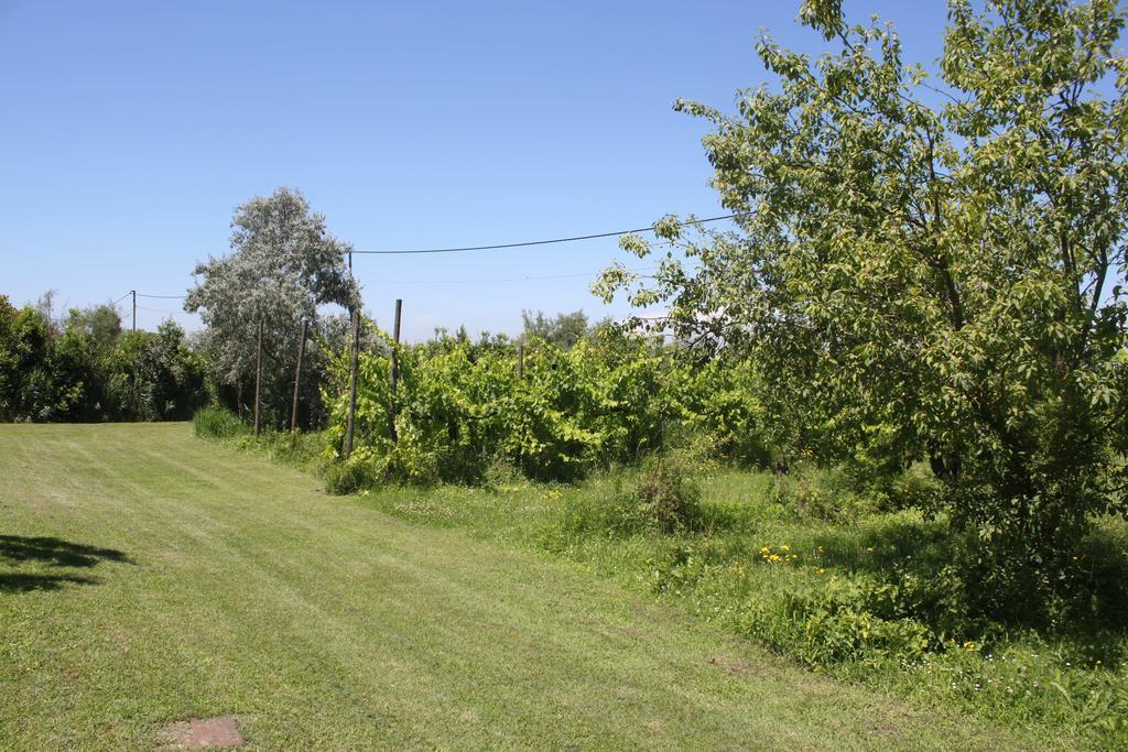 Tenuta Lio Maggiore *