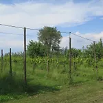 Tenuta Lio Maggiore
