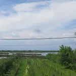 Tenuta Lio Maggiore Lido di Jesolo