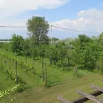 Appartamento Tenuta Lio Maggiore