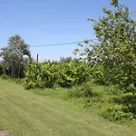Tenuta Lio Maggiore *
