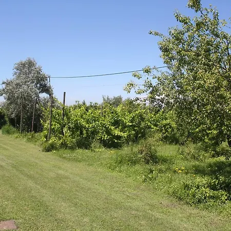 Tenuta Lio Maggiore *