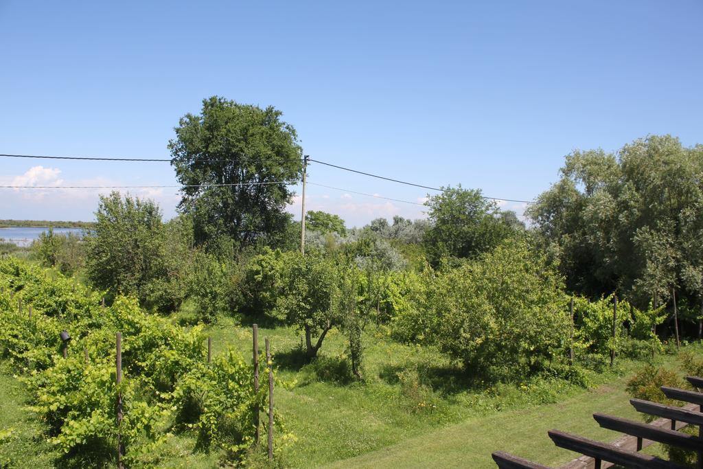 Appartamento Tenuta Lio Maggiore