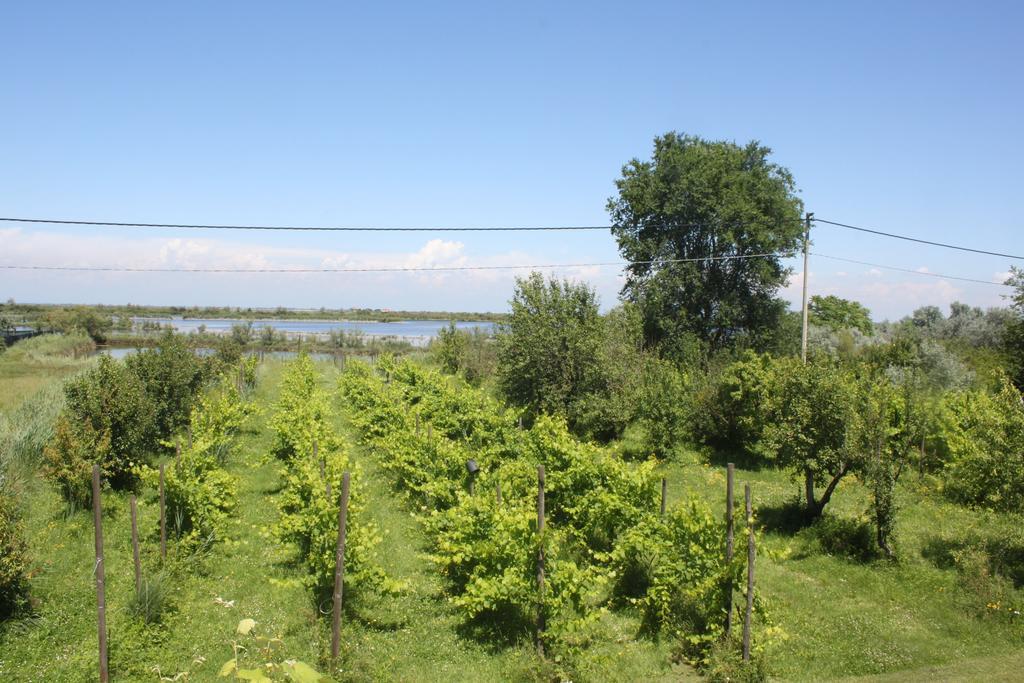 Appartamento Tenuta Lio Maggiore *
