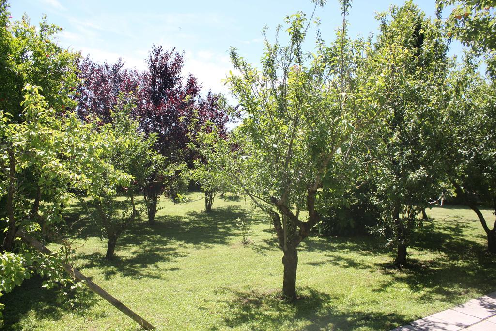 Appartamento Tenuta Lio Maggiore *